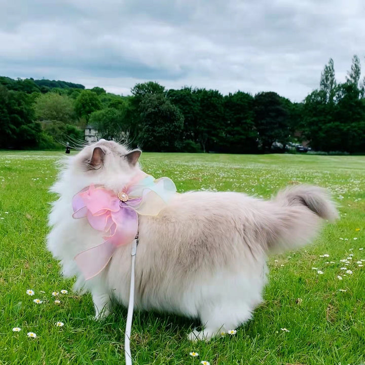 Pet Butterfly Style Retractable Safety Walking Leash Tool