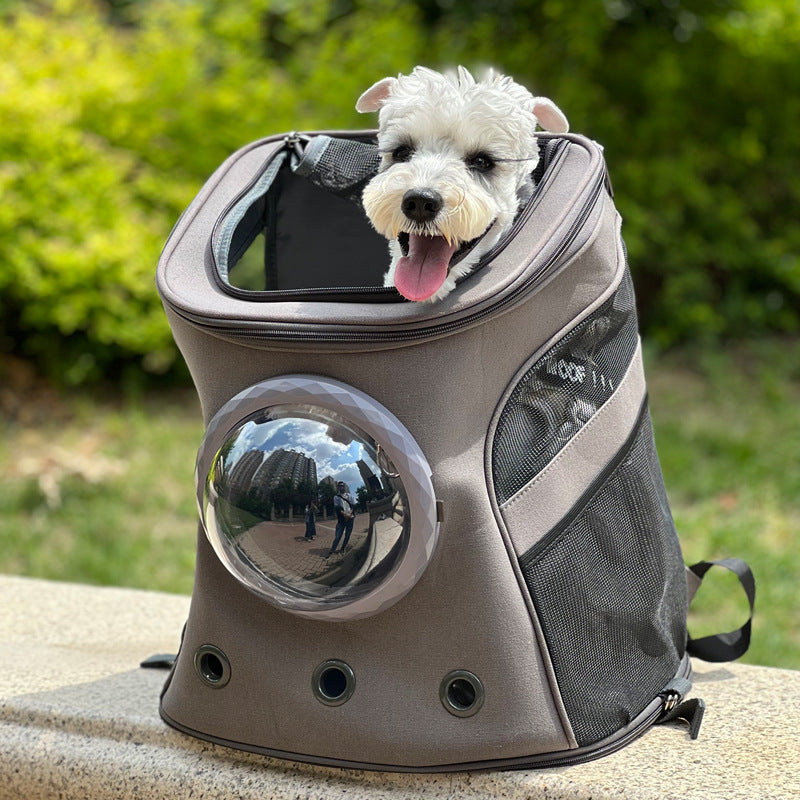 Portable Medium Pet Carrier Backpack Style Travel Bag