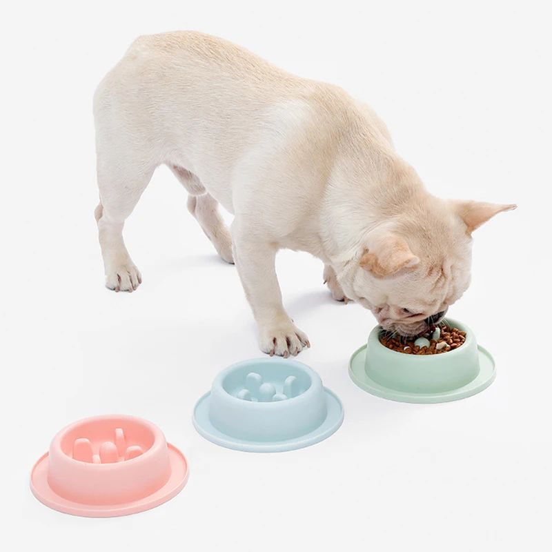 Pet Slow Feeding Anti Choking Interactive Food Bowl Plate