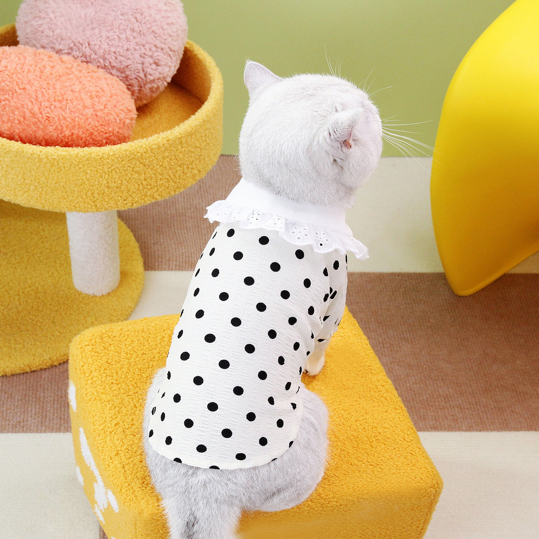 Pet Blue Ragdoll T Shirt Casual Clothing Top