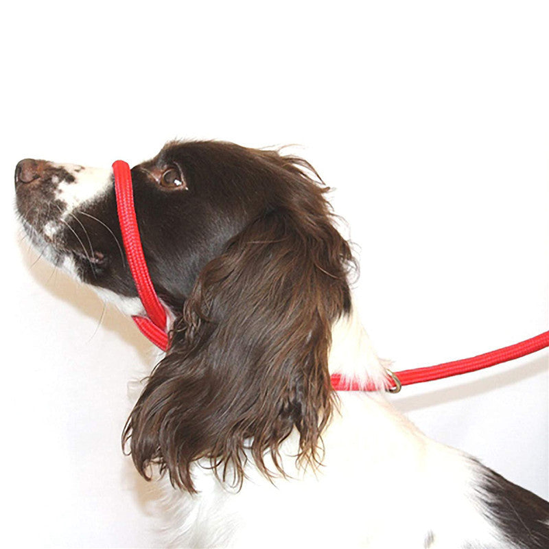 Pet Nylon Mouth Walking Safety Leash Harness