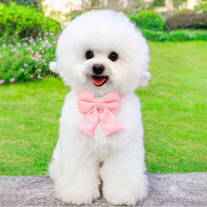 Pet Outdoor Harness Walking Leash Safety Gear