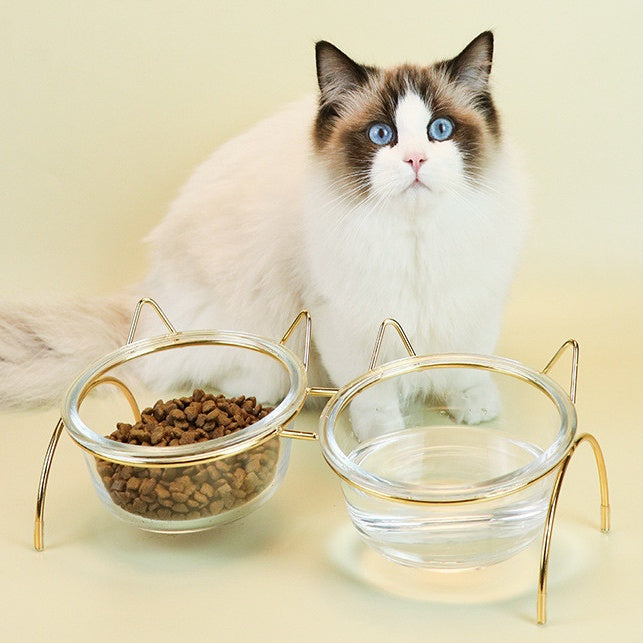 Glass Pet Feeding And Water Bowl With Metal Rack Stand