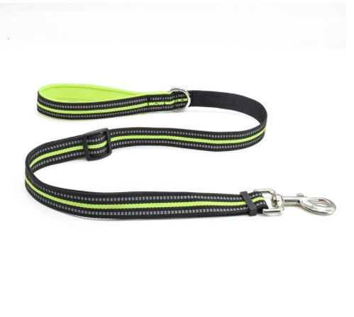 Pet Nylon Assisted Retractable Walking Leash Gear