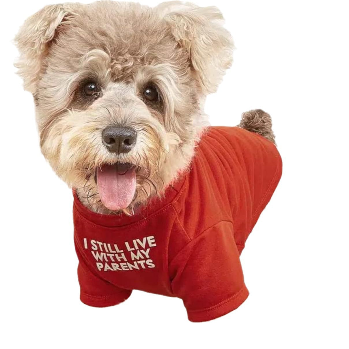 Pet Round Neck T Shirt Casual Clothing Top