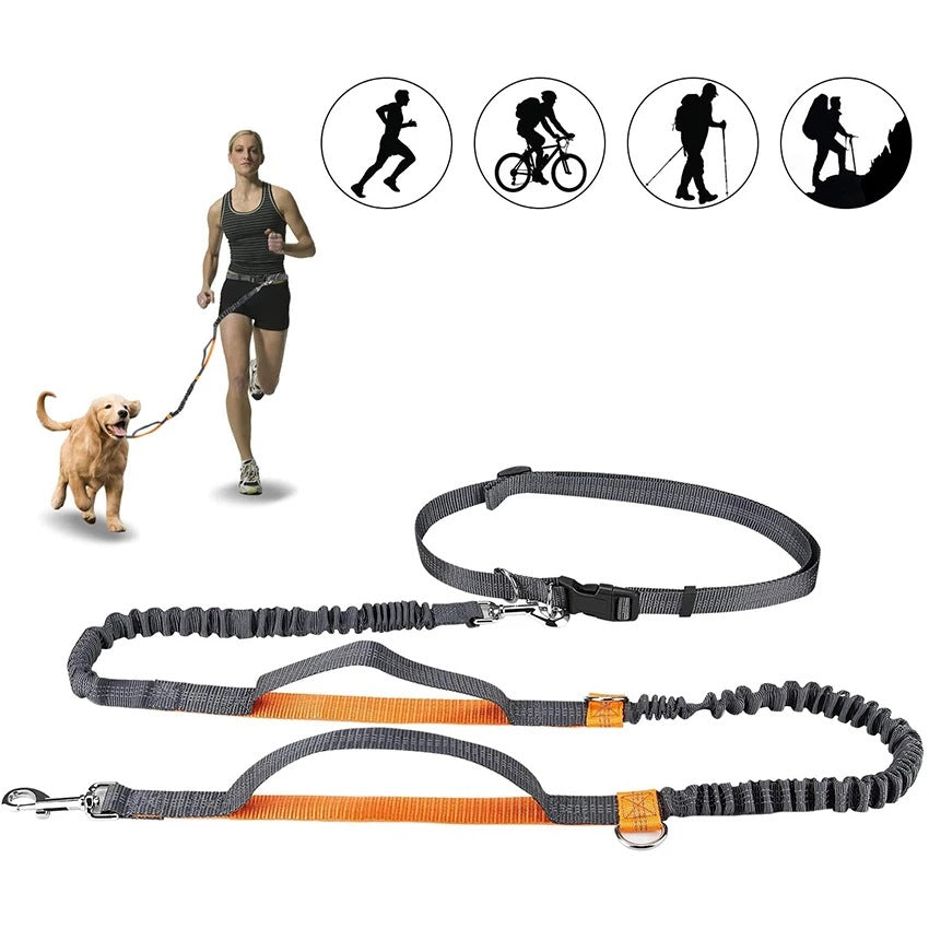 Pet Adjustable Harness Collar Jogging Walking Leash
