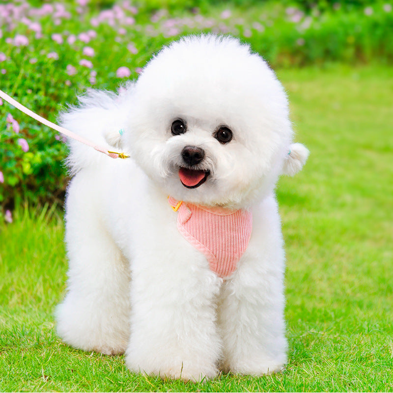 Pet Outdoor Harness Walking Leash Safety Gear