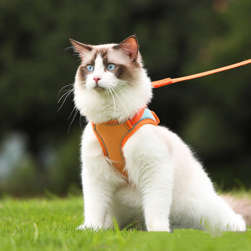 Pet Reflective Anti Escape Harness Walking Leash