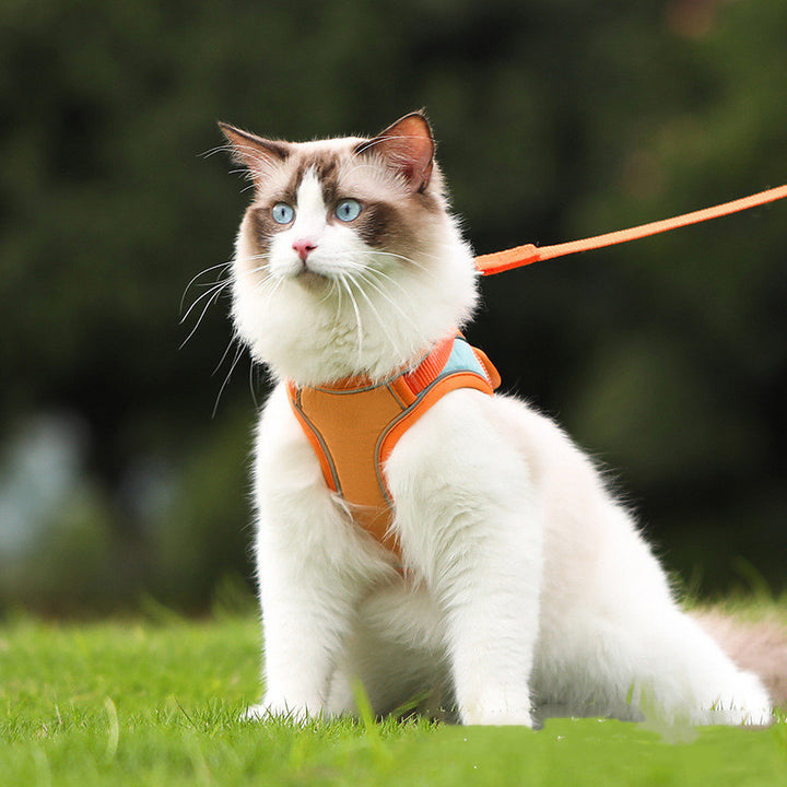 Pet Reflective Anti Escape Harness Walking Leash