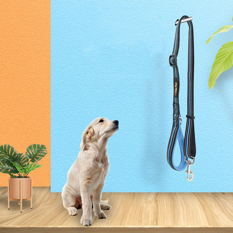 Pet Nylon Assisted Retractable Walking Leash Gear