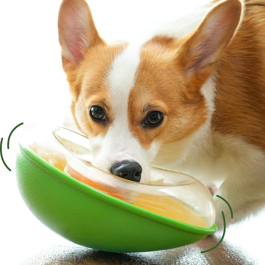 Anti Tumble Avocado Pet Feeding Bowl Stable Dish