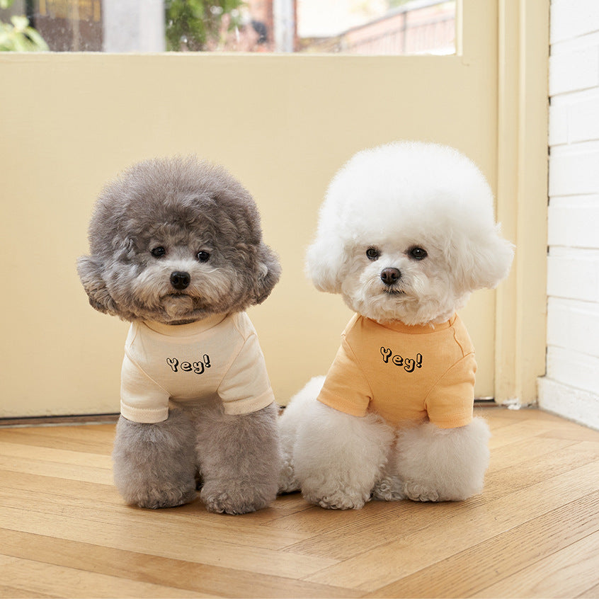 Pet Refreshing Color Print Cotton Summer T Shirt