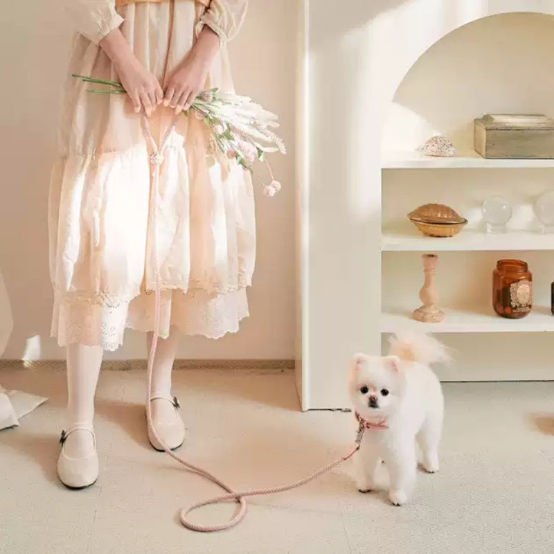 Pet Leather Handheld Collar Walking Rope Leash