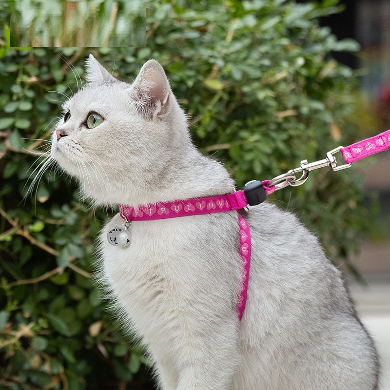 Pet Bell Chest Strap Vest Walking Leash Harness