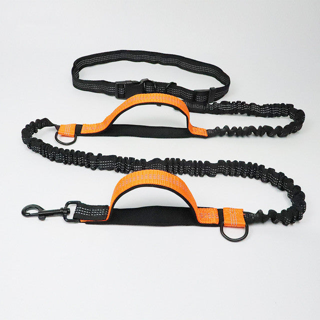 Pet Adjustable Harness Collar Jogging Walking Leash